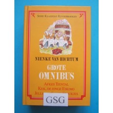 Nienke van Hichtum grote omnibus nr. 3729-02