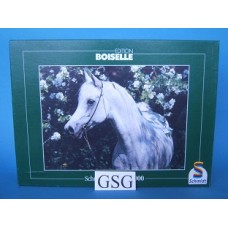 Schimmel 1000 st nr. 57436