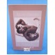 Anne Geddes sleeping in 500 st nr. 57915