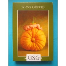 Anne Geddes pompoen 500 st nr. 57901