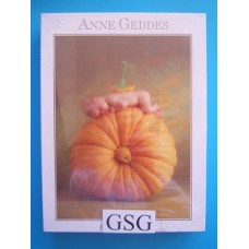 Anne Geddes baby slapend op pompoen 900 st nr. 57622-01